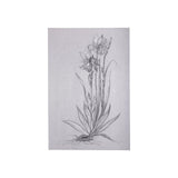 Botanical sketches IV (Grey) by Mercana Studio a Hand Embellished Textured Canvas by Mercana at Eve Furniture