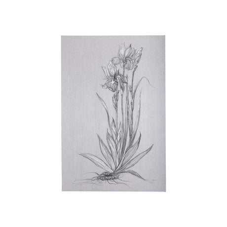 Botanical sketches IV (Grey) by Mercana Studio a Hand Embellished Textured Canvas by Mercana at Eve Furniture