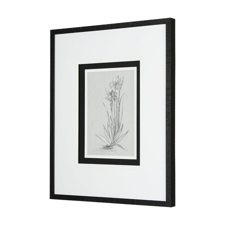 Botanical sketches IV (Grey) by Mercana Studio Hand Embellished Framed Art Print Matted under Glass by Mercana at Eve Furniture