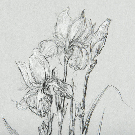 Botanical sketches IV (Grey) by Mercana Studio Hand Embellished Framed Art Print Matted under Glass by Mercana at Eve Furniture