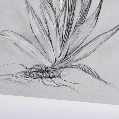 Botanical sketches IV (Grey) by Mercana Studio Hand Embellished Framed Art Print Matted under Glass by Mercana at Eve Furniture