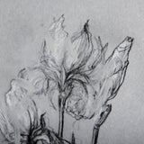 Botanical sketches IV (Grey) by Mercana Studio Hand Embellished Framed Art Print Matted under Glass by Mercana at Eve Furniture