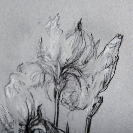 Botanical sketches IV (Grey) by Mercana Studio Hand Embellished Framed Art Print Matted under Glass by Mercana at Eve Furniture
