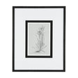 Botanical sketches IV (Grey) by Mercana Studio Hand Embellished Framed Art Print Matted under Glass by Mercana at Eve Furniture