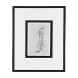 Botanical sketches IV (Grey) by Mercana Studio Hand Embellished Framed Art Print Matted under Glass by Mercana at Eve Furniture