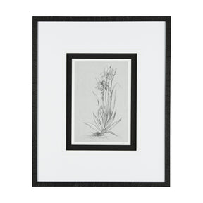 Botanical sketches IV (Grey) by Mercana Studio Hand Embellished Framed Art Print Matted under Glass by Mercana at Eve Furniture