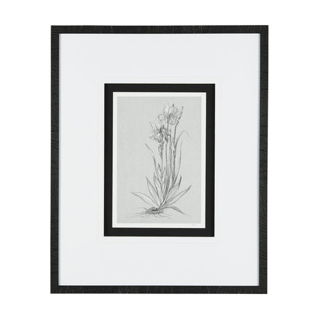 Botanical sketches IV (Grey) by Mercana Studio Hand Embellished Framed Art Print Matted under Glass by Mercana at Eve Furniture