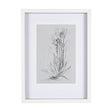 Botanical sketches IV (Grey) by Mercana Studio Hand Embellished Framed Art Print Matted under Glass by Mercana at Eve Furniture