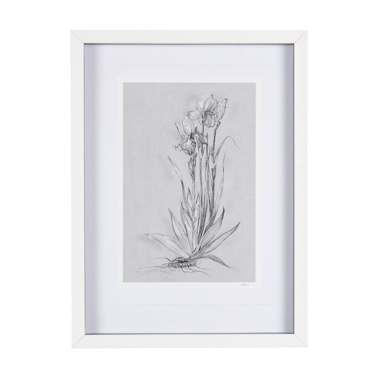 Botanical sketches IV (Grey) by Mercana Studio Hand Embellished Framed Art Print Matted under Glass by Mercana at Eve Furniture
