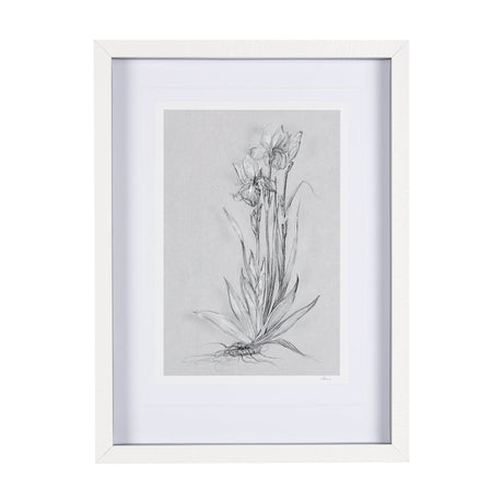 Botanical sketches IV (Grey) by Mercana Studio Hand Embellished Framed Art Print Matted under Glass by Mercana at Eve Furniture