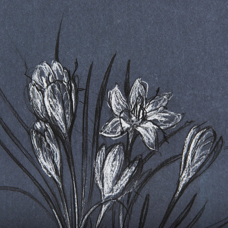 Botanical sketches V (Blue) by Mercana Studio Hand Embellished Framed Art Print Matted under Glass by Mercana at Eve Furniture