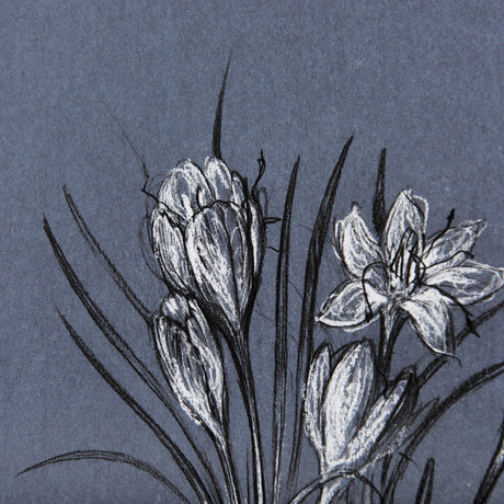 Botanical sketches V (Blue) by Mercana Studio Hand Embellished Framed Art Print Matted under Glass by Mercana at Eve Furniture