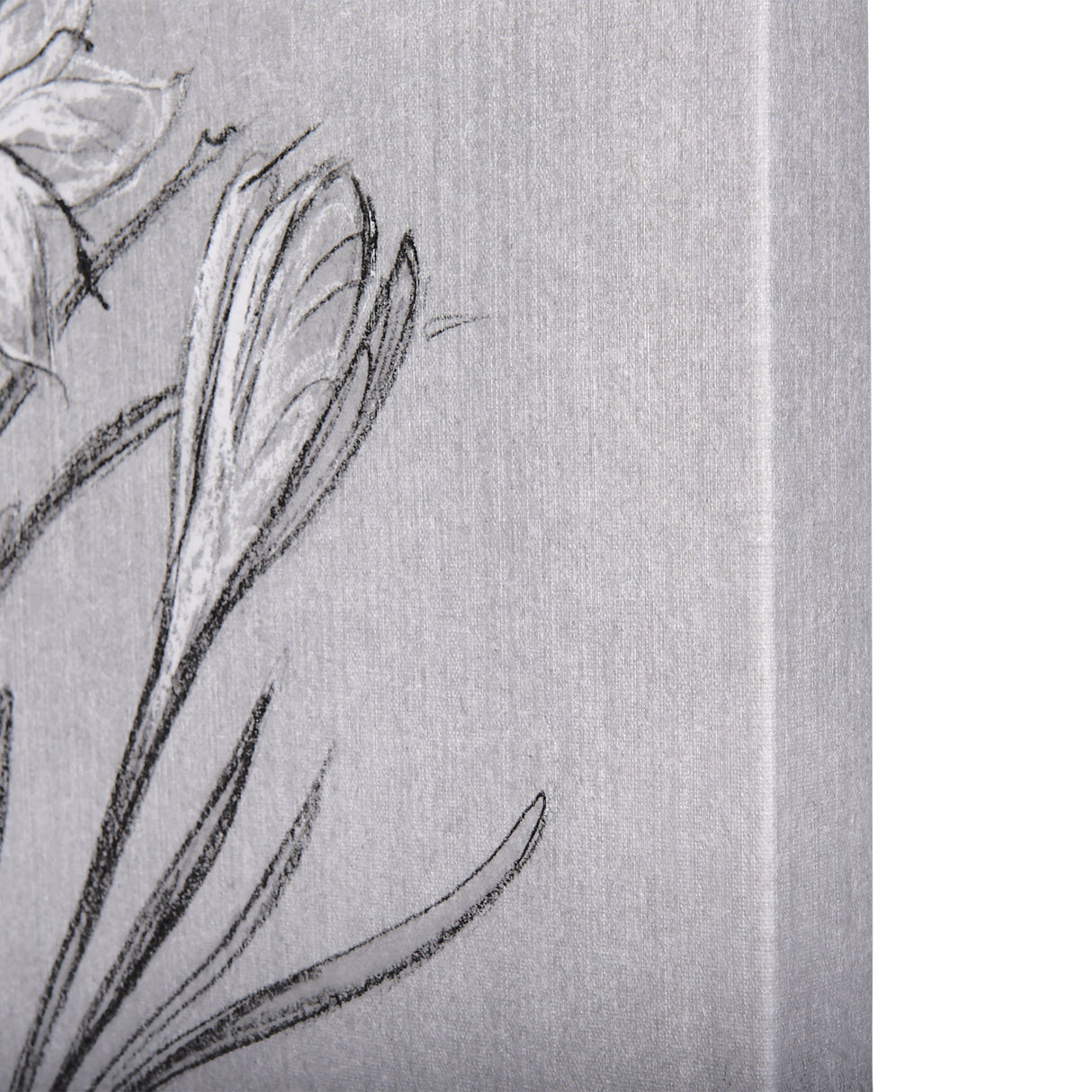 Botanical sketches V (Grey) by Mercana Studio a Hand Embellished Textured Canvas by Mercana at Eve Furniture