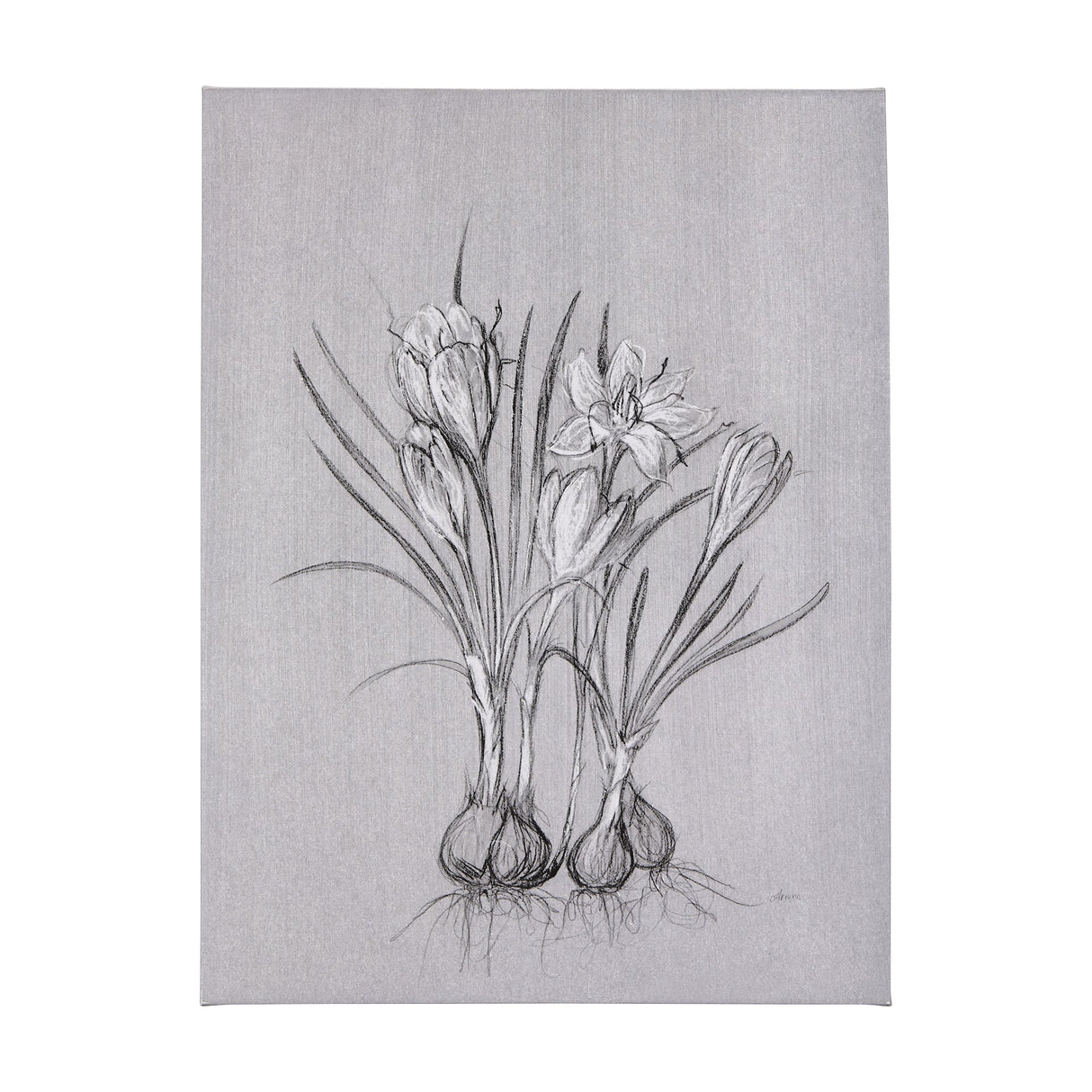 Botanical sketches V (Grey) by Mercana Studio a Hand Embellished Textured Canvas by Mercana at Eve Furniture