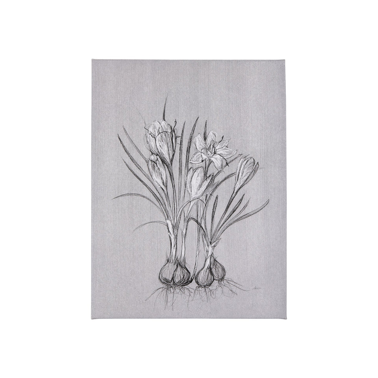 Botanical sketches V (Grey) by Mercana Studio a Hand Embellished Textured Canvas by Mercana at Eve Furniture