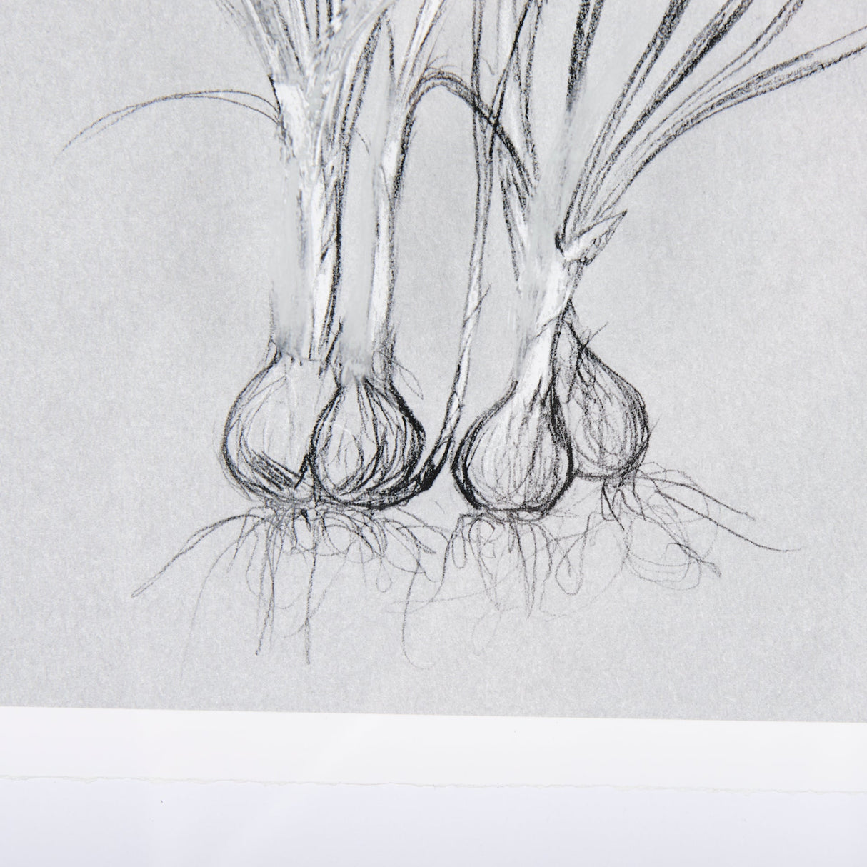 Botanical sketches V (Grey) by Mercana Studio Hand Embellished Framed Art Print Matted under Glass by Mercana at Eve Furniture