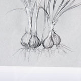 Botanical sketches V (Grey) by Mercana Studio Hand Embellished Framed Art Print Matted under Glass by Mercana at Eve Furniture