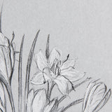 Botanical sketches V (Grey) by Mercana Studio Hand Embellished Framed Art Print Matted under Glass by Mercana at Eve Furniture