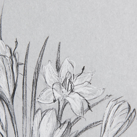 Botanical sketches V (Grey) by Mercana Studio Hand Embellished Framed Art Print Matted under Glass by Mercana at Eve Furniture