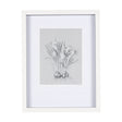 Botanical sketches V (Grey) by Mercana Studio Hand Embellished Framed Art Print Matted under Glass by Mercana at Eve Furniture