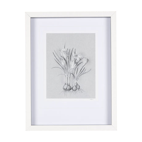 Botanical sketches V (Grey) by Mercana Studio Hand Embellished Framed Art Print Matted under Glass by Mercana at Eve Furniture