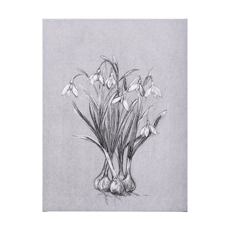 Botanical sketches VI (Grey) by Mercana Studio a Hand Embellished Textured Canvas by Mercana at Eve Furniture