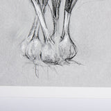 Botanical sketches VI (Grey) by Mercana Studio Hand Embellished Framed Art Print Matted under Glass by Mercana at Eve Furniture