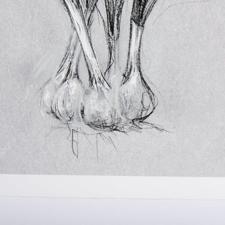 Botanical sketches VI (Grey) by Mercana Studio Hand Embellished Framed Art Print Matted under Glass by Mercana at Eve Furniture