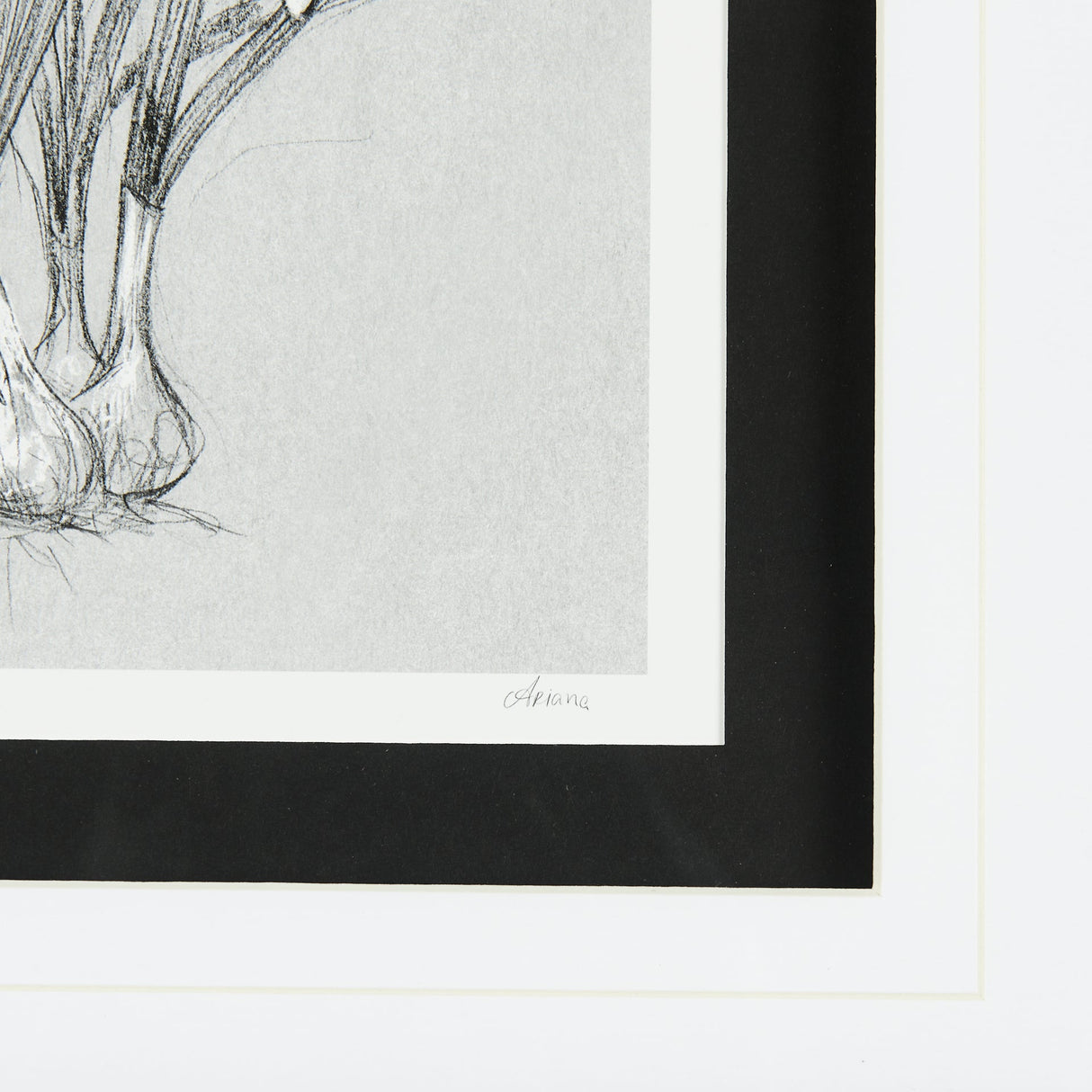 Botanical sketches VI (Grey) by Mercana Studio Hand Embellished Framed Art Print Matted under Glass by Mercana at Eve Furniture