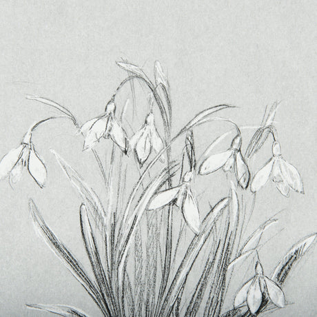 Botanical sketches VI (Grey) by Mercana Studio Hand Embellished Framed Art Print Matted under Glass by Mercana at Eve Furniture