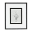 Botanical sketches VI (Grey) by Mercana Studio Hand Embellished Framed Art Print Matted under Glass by Mercana at Eve Furniture