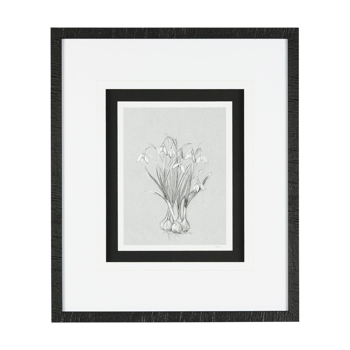 Botanical sketches VI (Grey) by Mercana Studio Hand Embellished Framed Art Print Matted under Glass by Mercana at Eve Furniture