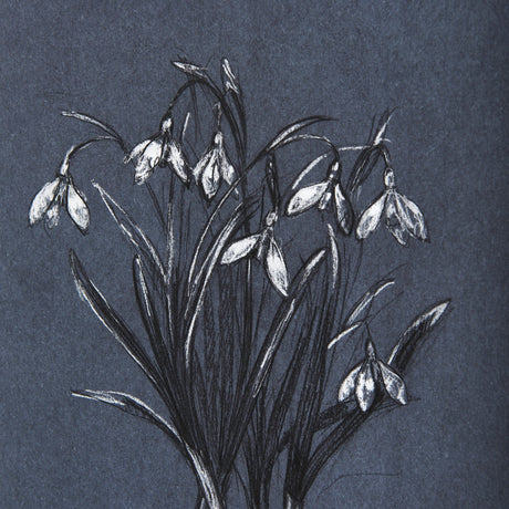 Botanical sketchesVI (Blue) by Mercana Studio Hand Embellished Framed Art Print Matted under Glass by Mercana at Eve Furniture