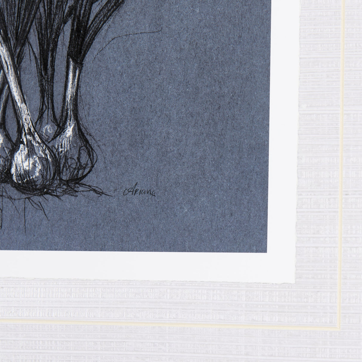 Botanical sketchesVI (Blue) by Mercana Studio Hand Embellished Framed Art Print Matted under Glass by Mercana at Eve Furniture