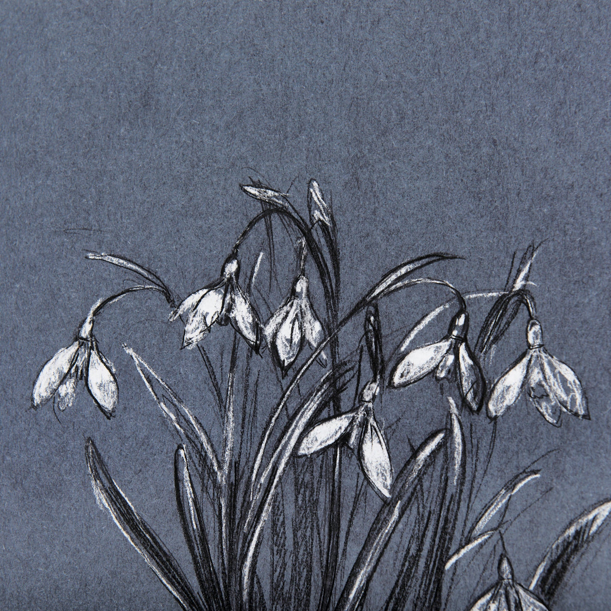 Botanical sketchesVI (Blue) by Mercana Studio Hand Embellished Framed Art Print Matted under Glass by Mercana at Eve Furniture