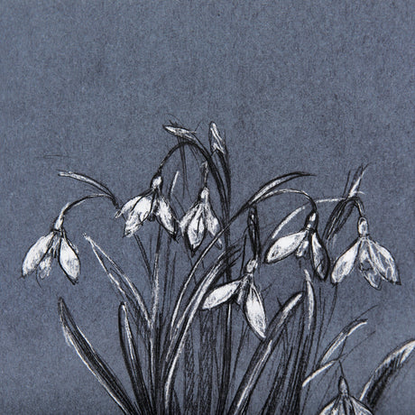 Botanical sketchesVI (Blue) by Mercana Studio Hand Embellished Framed Art Print Matted under Glass by Mercana at Eve Furniture