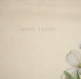 Botanical Study-Cornus Florida by Mercana Studio a Hand Embelished Textured Framed Art Print by Mercana at Eve Furniture