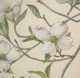 Botanical Study-Cornus Florida by Mercana Studio a Hand Embelished Textured Framed Art Print by Mercana at Eve Furniture