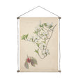 Botanical Study-Cornus Florida by Mercana Studio a Hand Embelished Textured Framed Art Print by Mercana at Eve Furniture