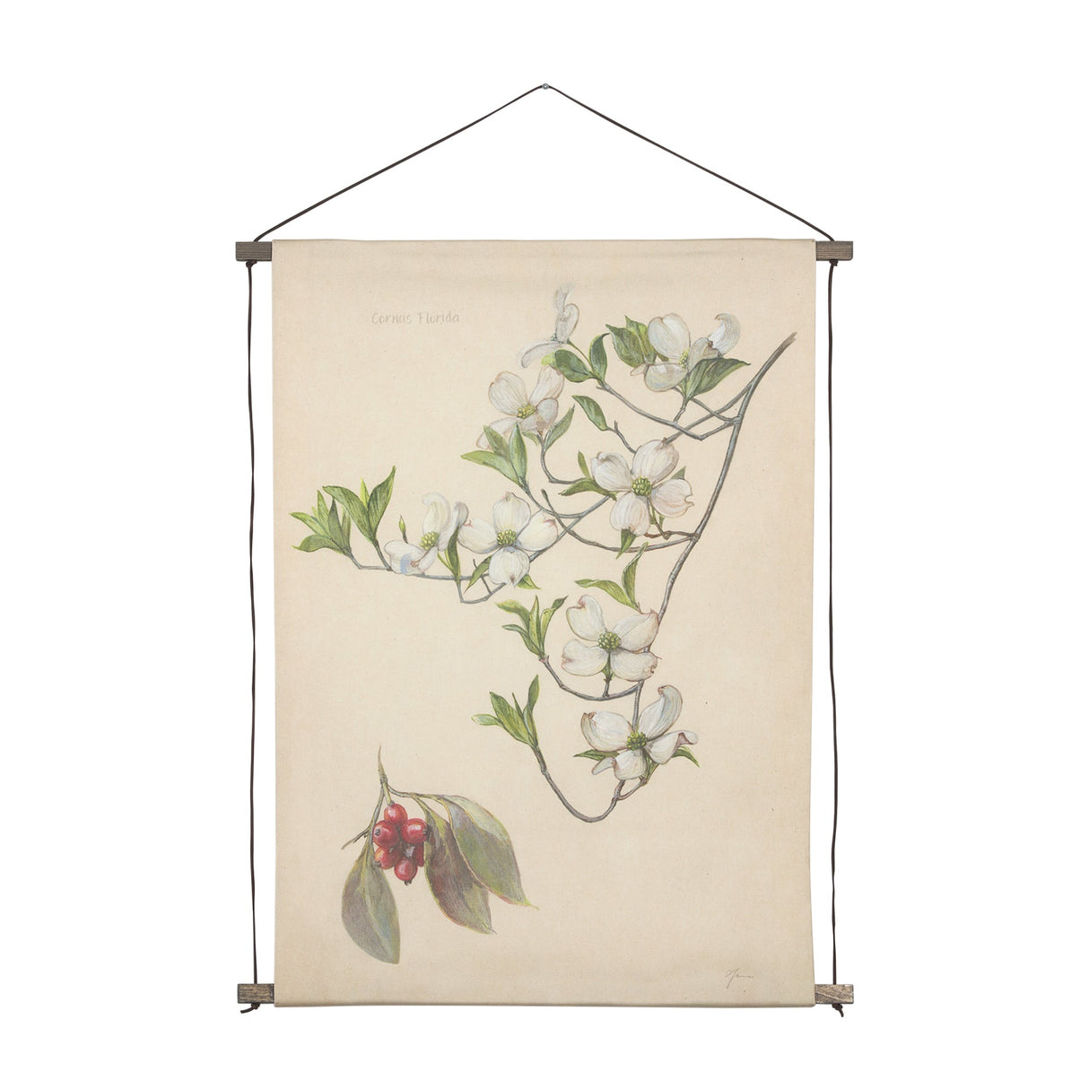 Botanical Study-Cornus Florida by Mercana Studio a Hand Embelished Textured Framed Art Print by Mercana at Eve Furniture