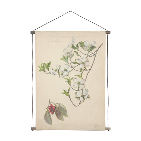 Botanical Study-Cornus Florida by Mercana Studio a Hand Embelished Textured Framed Art Print by Mercana at Eve Furniture