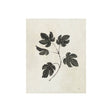 Botanical Study III by Julia Purinton a Hand Embellished Textured Canvas by Mercana at Eve Furniture