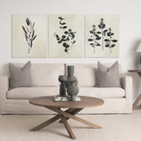 Botanical Study IV by Julia Purinton a Hand Embellished Textured Canvas by Mercana at Eve Furniture