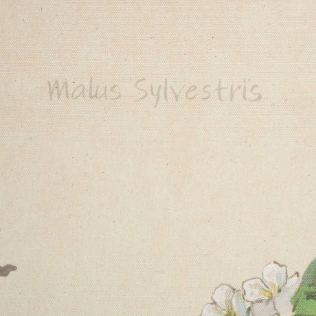 Botanical Study-Malus Sylvestris by Mercana Studio a Hand Embelished Textured Framed Art Print by Mercana at Eve Furniture