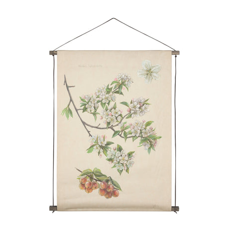 Botanical Study-Malus Sylvestris by Mercana Studio a Hand Embelished Textured Framed Art Print by Mercana at Eve Furniture