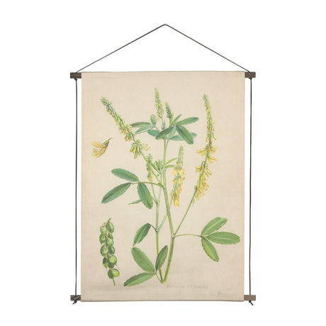 Botanical Study-Melilotus Officinalis by Mercana Studio a Hand Embelished Textured Framed Art Print by Mercana at Eve Furniture