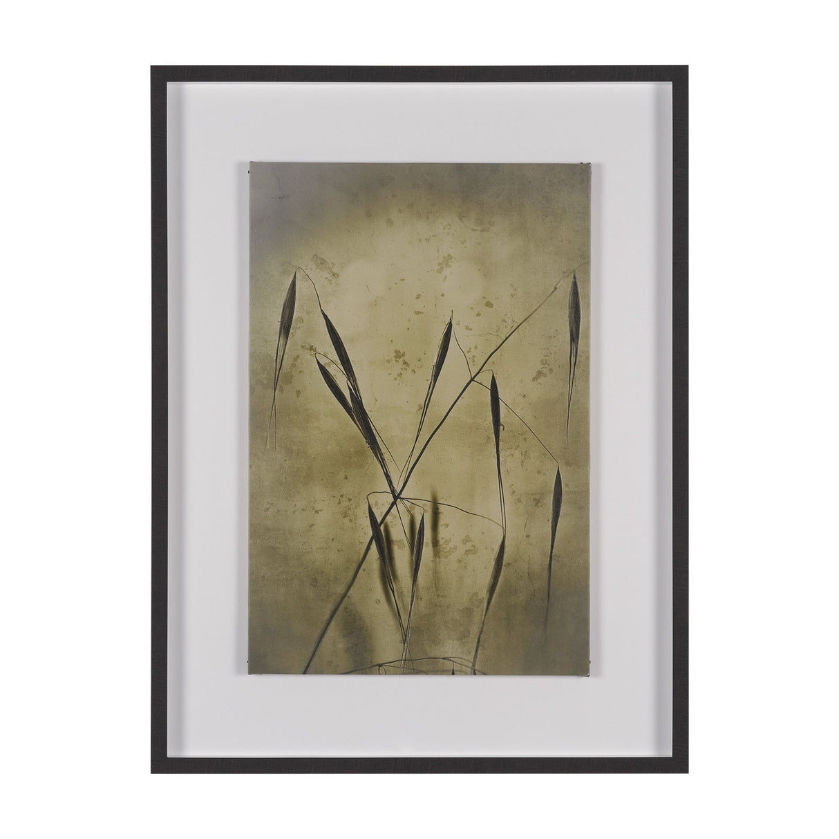 Botany Blades by Michael Banks a Hand Embellished Framed Photo Art Print Matted under Glass by Mercana at Eve Furniture
