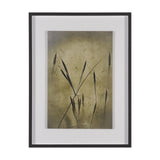Botany Blades by Michael Banks a Hand Embellished Framed Photo Art Print Matted under Glass by Mercana at Eve Furniture