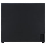 Bowfield Charcoal Upholstered Bed with Nailhead Trim by Coaster at Eve Furniture