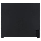 Bowfield Charcoal Upholstered Bed with Nailhead Trim by Coaster at Eve Furniture